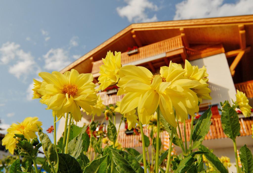 시우시 Garni Karlegger B&B 외부 사진